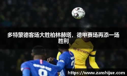 熊猫体育