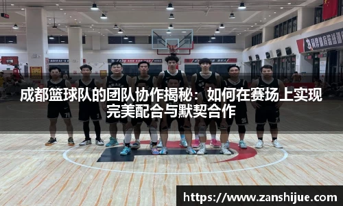 熊猫体育官网