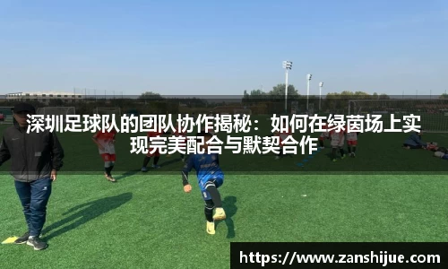熊猫体育